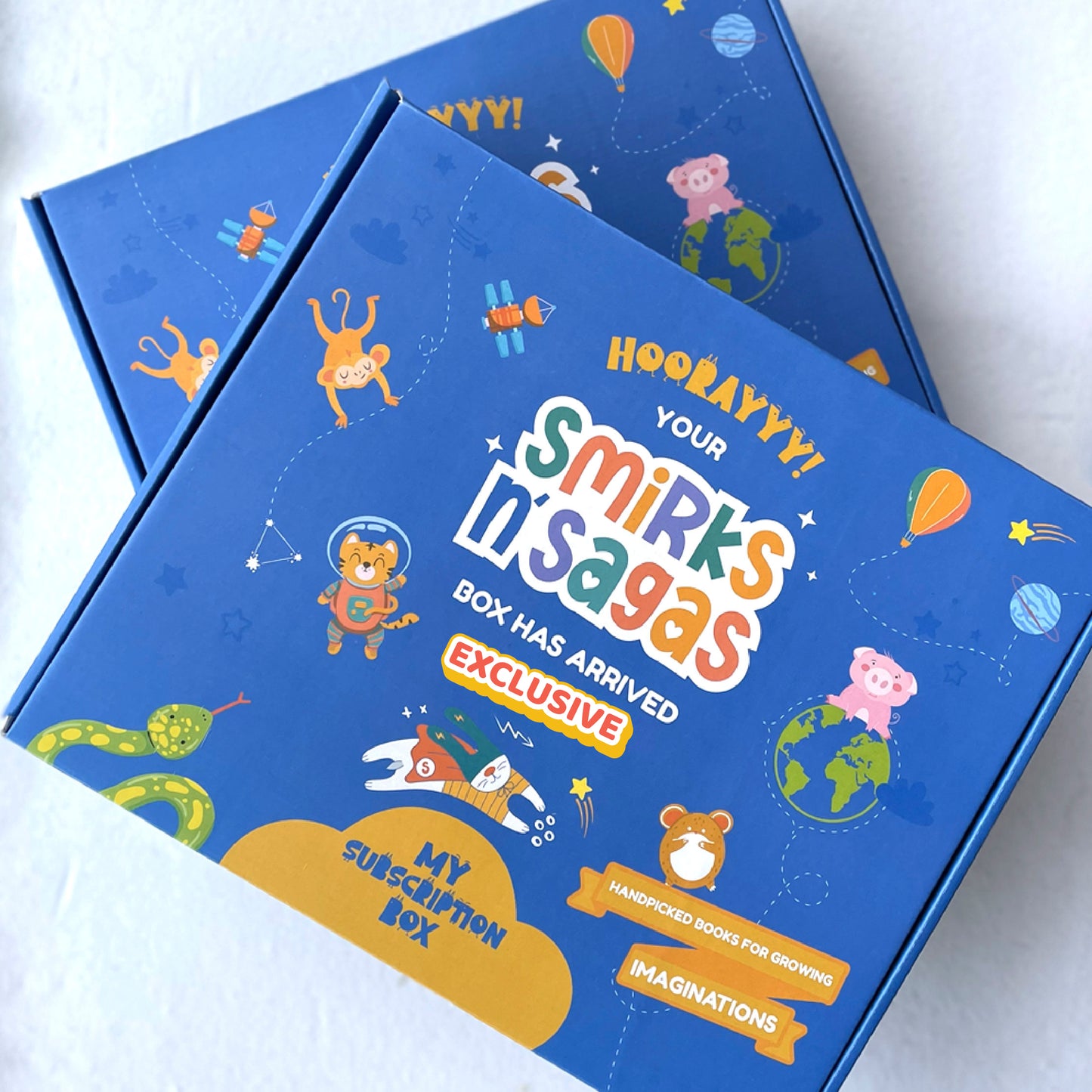Exclusive Book Subscription Box for Kids